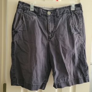American Eagle Blue Shorts Size 32